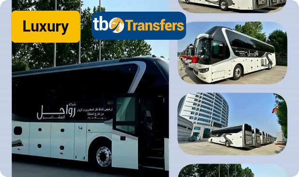 Bus Transfer